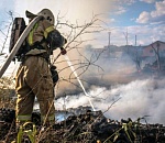 Особый противопожарный: в Астраханской области с начала недели произошло более 250 пожаров