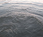 Астраханка нашла своего пропавшего мужа мертвым в реке 