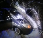 Врезался в дерево и погиб на месте: смертельное ДТП произошло в Астрахани