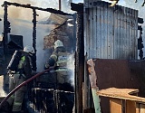 В Астрахани на садоводческом участке сгорел мужчина
