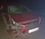 Под Астраханью врач сбила насмерть психически нездоровую женщину