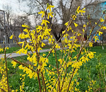 Апрель принесет астраханцам 25-градусное тепло и заморозки