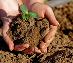 В Астраханской области пожурили ленивых фермеров