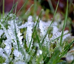 Завтра в Астрахань придут заморозки