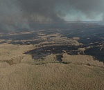 Рядом с Астраханским заповедником подожгли остров