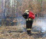Не прошло и года: пожарные начали дежурить в дельте Волги