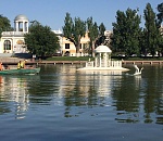 Куда пропали лебеди на Лебедином озере?