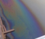 Астраханцы заметили очередное загрязнение реки нефтепродуктами