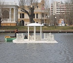 Фото дня: доступное жилье для лебединых семей