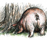 У сельчанки за плохую работу забрали свинью и кабана