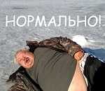 В Астрахани завтра морозно. Ночью до минус 7 градусов