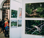 Астраханцев приглашают на фотовыставку природы родного края