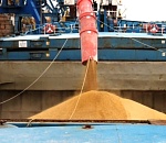 С начала года из Астраханской области в Иран морем отправлено более 150 тысяч тонн кормов