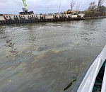 В районе астраханского торгового порта обнаружили внушительный маслянистый разлив 
