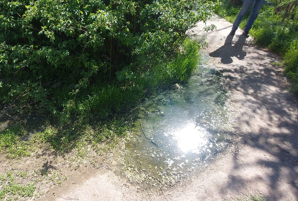 Астраханский хлебозавод попался на сливе сточных вод в открытый грунт