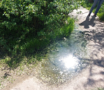 Астраханский хлебозавод попался на сливе сточных вод в открытый грунт