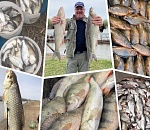 Клёв есть: Астрахань накрыла тьма рыбаков