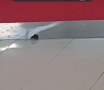 В торговом центре Астрахани разгуливала мышь, но недолго (ВИДЕО)