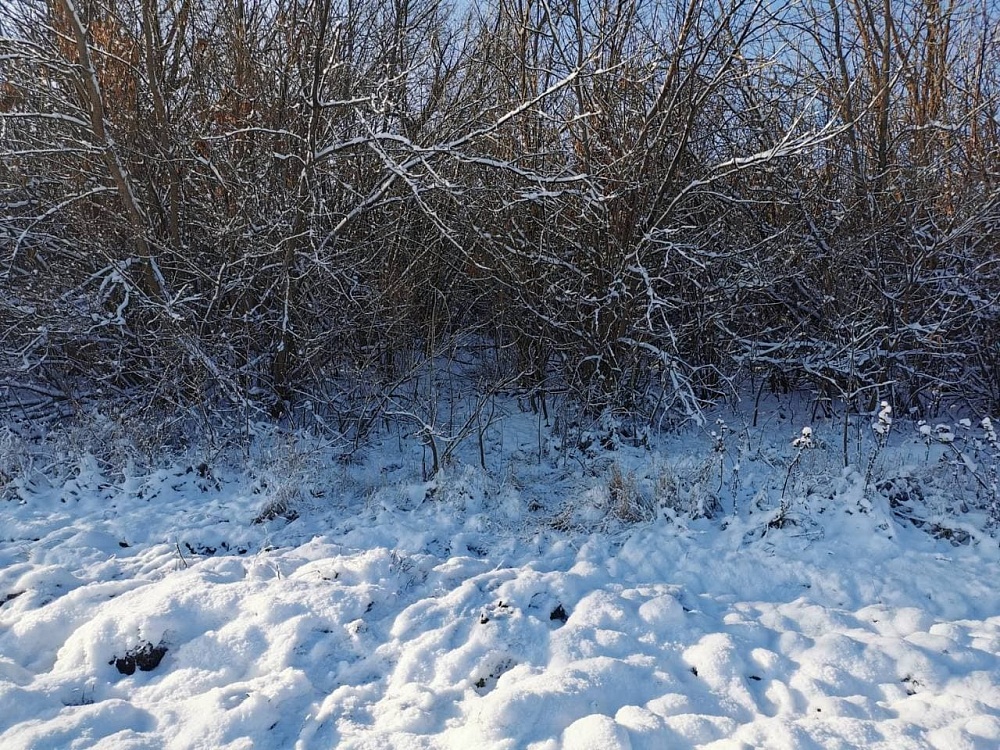 Астраханец, случайно убивший напарника на охоте, получил 10 месяцев исправительных работ