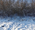 Астраханец, случайно убивший напарника на охоте, получил 10 месяцев исправительных работ