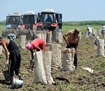 Астраханские депутаты приняли ставку налога для рабочих-мигрантов