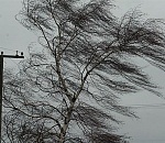 В Астрахани и области ожидается сильный ветер