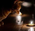 Завтра без света останутся жители Ленинского и Трусовского районов