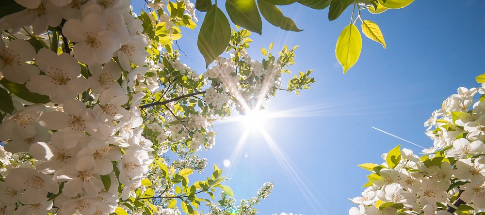 Погода сделает астраханцам на Пасху приятный подарок