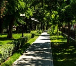 Астраханцы сами выбирают, что благоустроить в городе