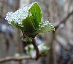 В субботу в Астрахани немного потеплеет