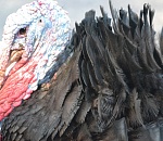 200 млн руб вложат в производство индюшатины в Астраханской области