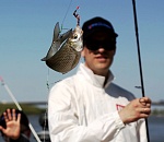 Кто виноват в том, что вобла в Астрахани оказалась под запретом?