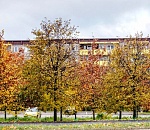 Ночью в Астраханской области температура упадет почти до нуля, а днем поднимется до +18°