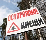 На территории Астраханской области активировались клещи