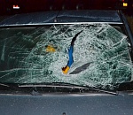 В смерти дальнобойщика на астраханской трассе разберется следствие