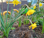 Завтра в Астрахани чуть прохладнее