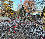 Какой будет погода в первый рабочий день 2025 года?