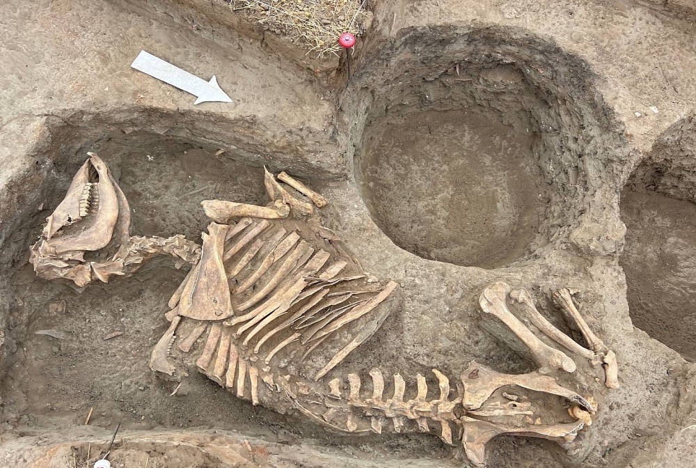 Астраханцам предлагают отправиться в настоящее археологическое приключение 