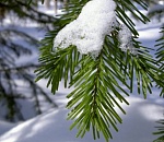Астраханская погода в январе