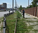 Астрахань избавляют от травы