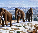 Записки астраханского натуралиста: как жили и почему вымерли мамонты