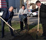 Олег Полумордвинов посадил дерево. Стоит ли ждать сына и дом?