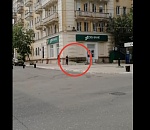 Хроника астраханского вандализма: мужчина нарвал большой букет с клумбы на Кирова