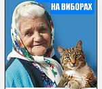 «Хакеры» атакуют предвыборный опрос