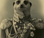 Степновский сельсовет (часть 1): «на выборы – со своими избирателями» (с)