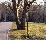 Утром в Астраханской области  ожидается гололедица, а днем – новая весенняя иллюзия