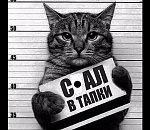 Астраханские депутаты установили правила для Барсиков и Дружков