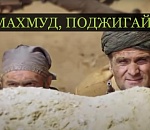 Подстепка в опасности! В Астраханской области объявлен пожароопасный сезон