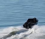 Пограничники спасли из браконьерских сетей 65 осетров