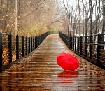 В субботу синоптики снова обещают астраханцам небольшой дождь